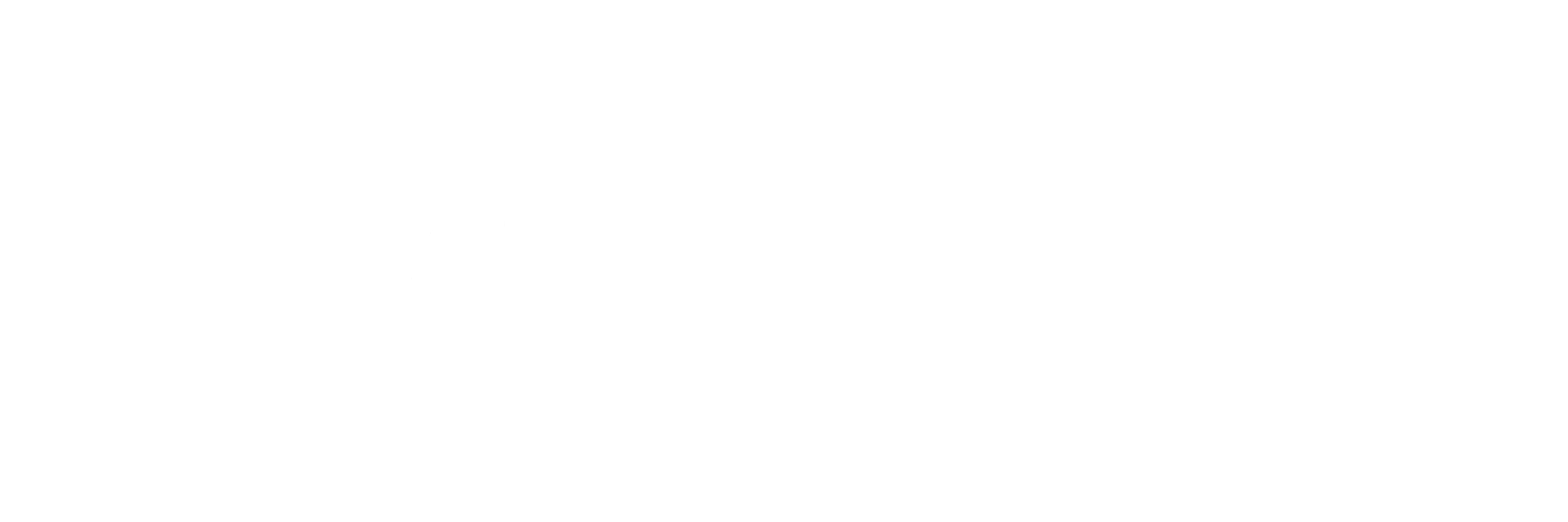 Nodeflux Logo